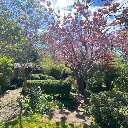 Daire Clifton Garden Flat With Parking